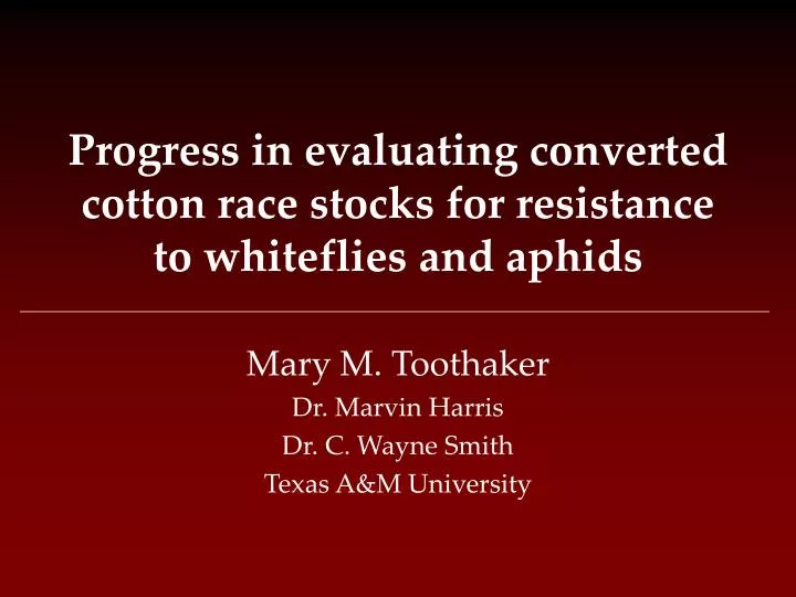 progress in evaluating converted cotton race stocks for resistance to whiteflies and aphids