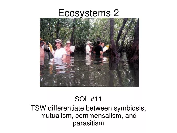 ecosystems 2