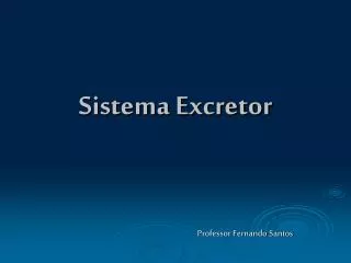 sistema excretor