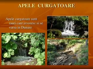 apele curgatoare