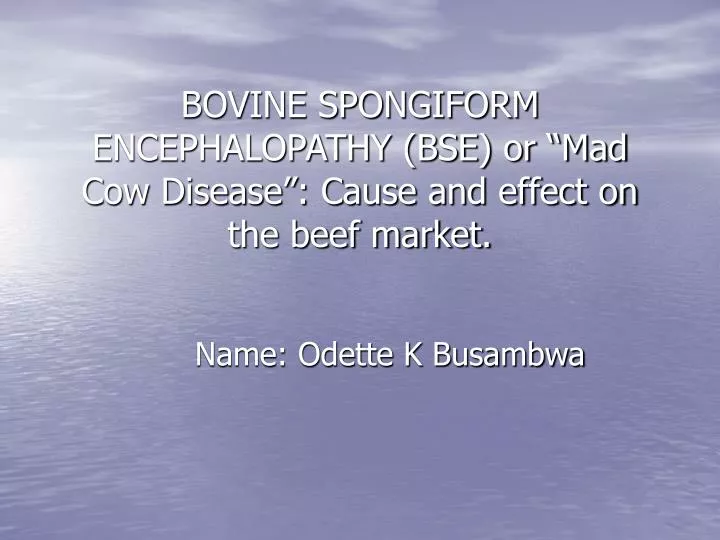 bovine spongiform encephalopathy bse or mad cow disease cause and effect on the beef market