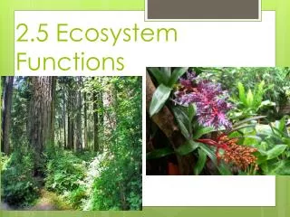 2.5 Ecosystem Functions
