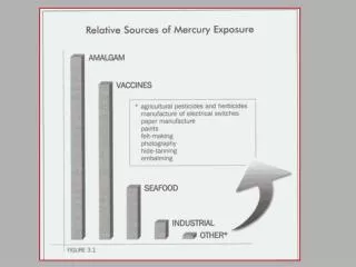 Harmful Effects of Mercury