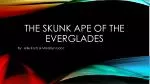 The Skunk ape of the everglades