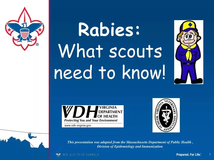 rabies what scouts need to know