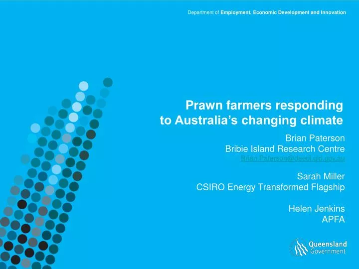 prawn farmers responding to australia s changing climate