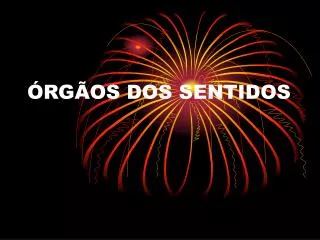 rg os dos sentidos