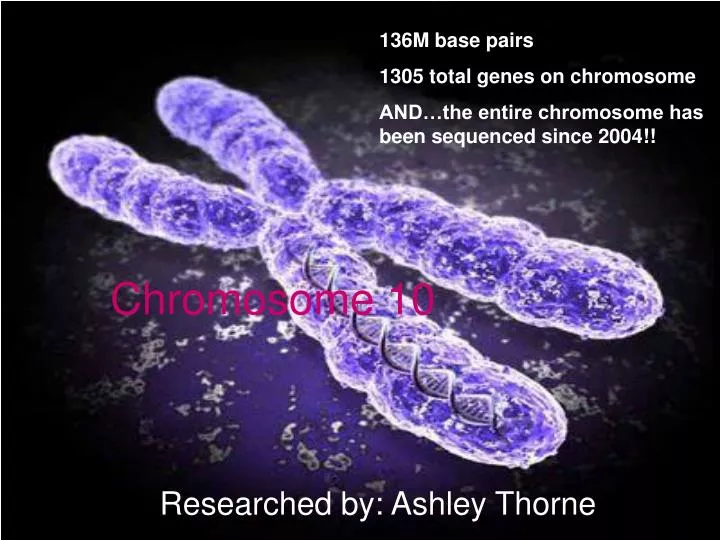 chromosome 10