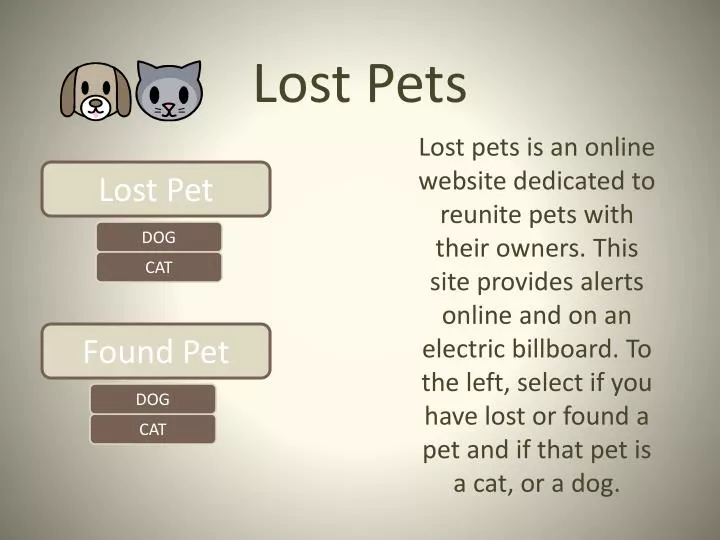 lost pets