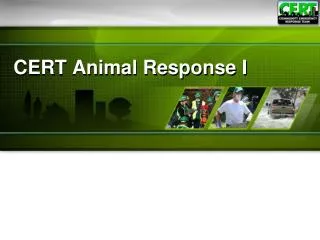 CERT Animal Response I