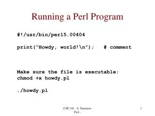 Running a Perl Program
