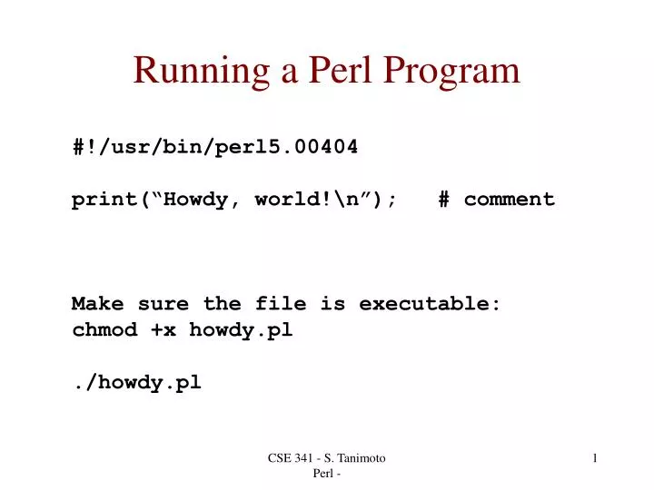 running a perl program