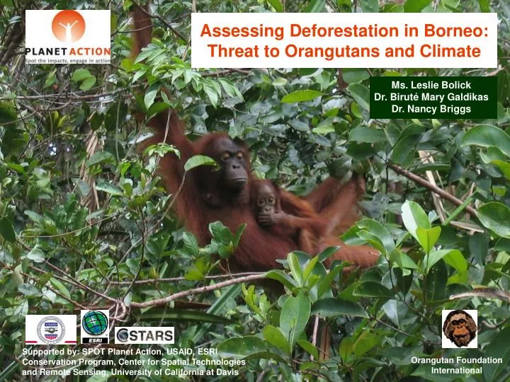 assessing deforestation in borneo threat to orangutans and climate