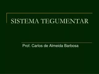 sistema tegumentar