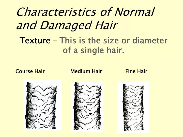 characteristics of normal and damaged hair