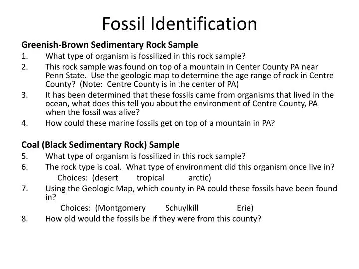 fossil identification