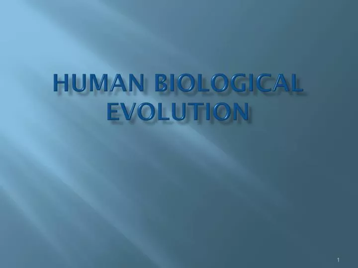 human biological evolution