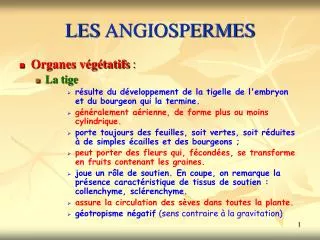 les angiospermes