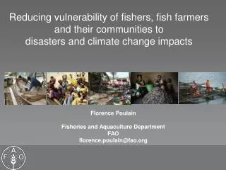 Florence Poulain Fisheries and Aquaculture Department FAO florence.poulain@fao