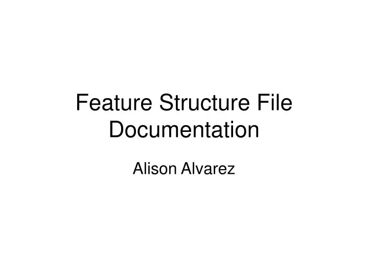 feature structure file documentation