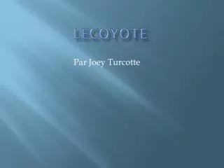 lecoyote