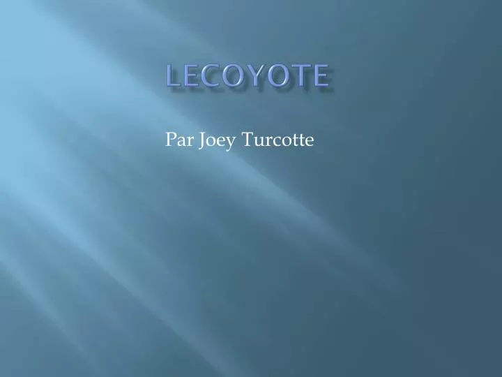 lecoyote