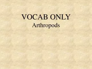 VOCAB ONLY Arthropods