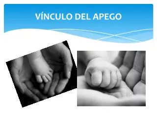 v nculo del apego