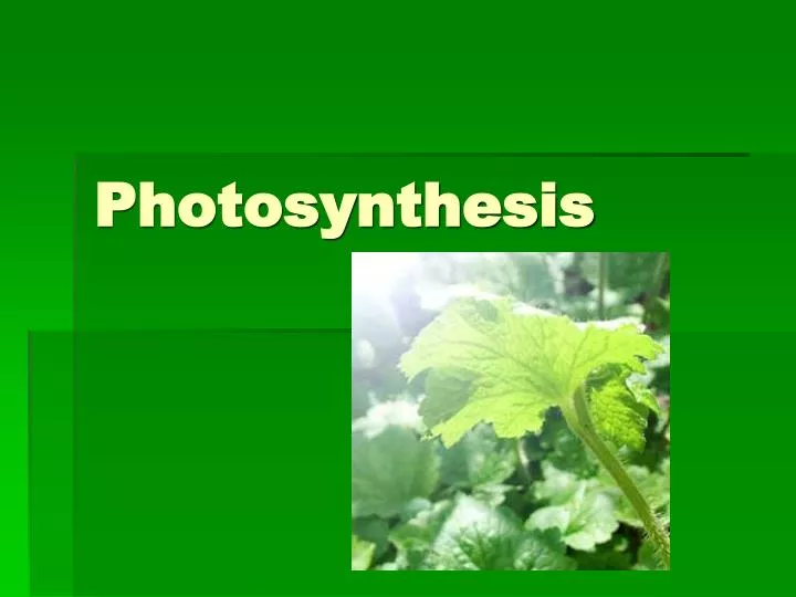 photosynthesis