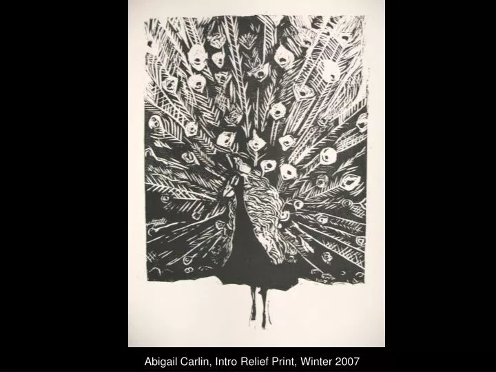abigail carlin intro relief print winter 2007