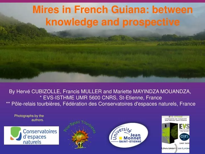 mires in french guiana between knowledge and prospective