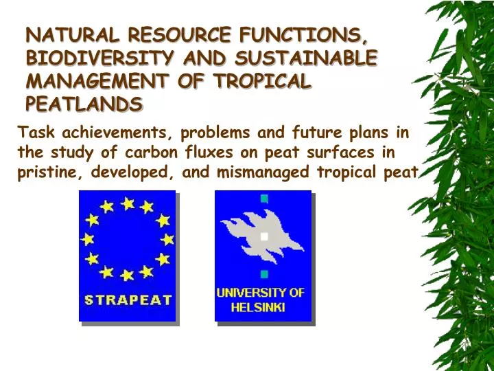 natural resource functions biodiversity and sustainable management of t ropical peatlands