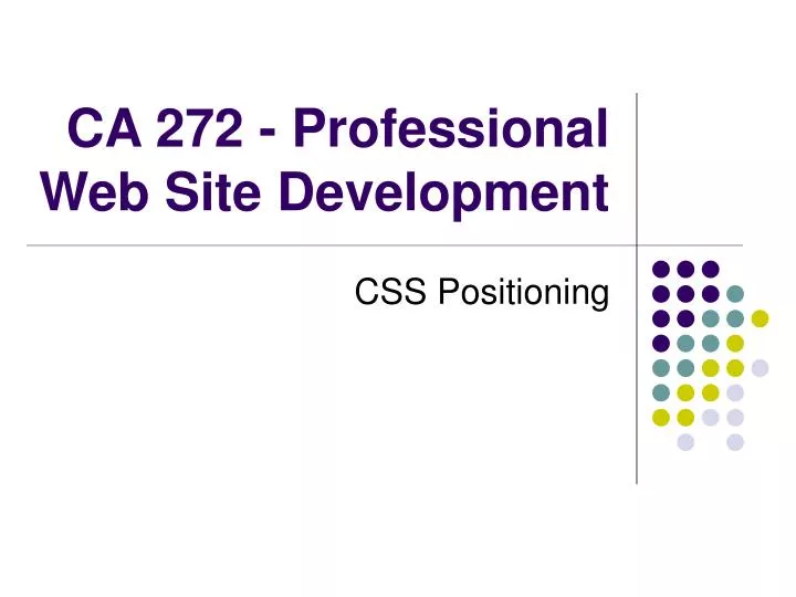 ca 272 professional web site development