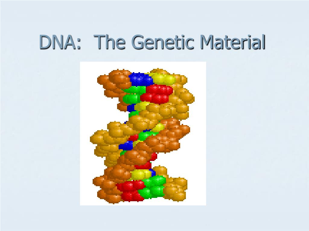 PPT - DNA: The Genetic Material PowerPoint Presentation, free download ...