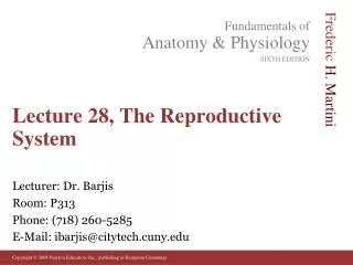 Lecture 28, The Reproductive System