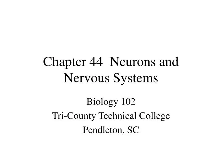 chapter 44 neurons and nervous systems