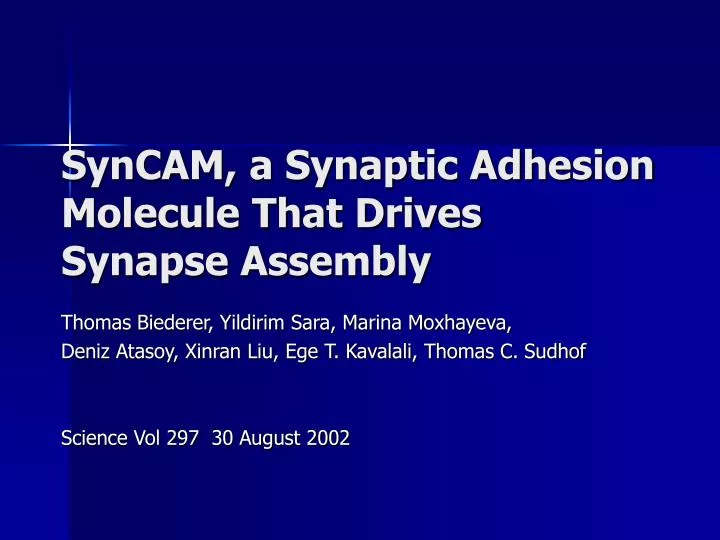 syncam a synaptic adhesion molecule that drives synapse assembly
