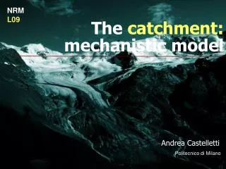 The catchment: mechanistic model