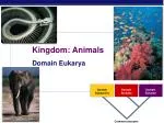 Domain Eubacteria - slide 1