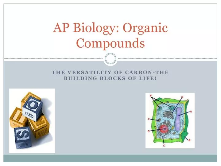 ap biology organic compounds
