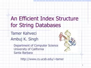 An Efficient Index Structure for String Databases