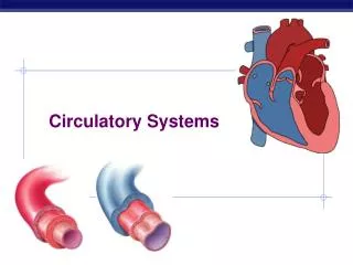 Circulatory Systems