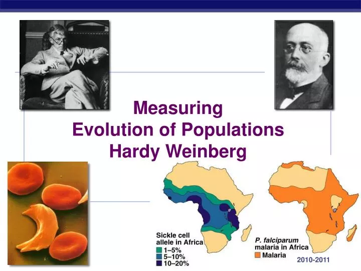 PPT - Measuring Evolution of Populations Hardy Weinberg PowerPoint ...