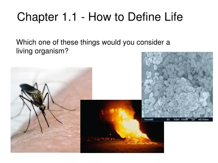 chapter 1 1 how to define life