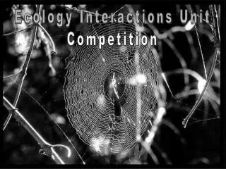 Ecology Interactions Unit Competition