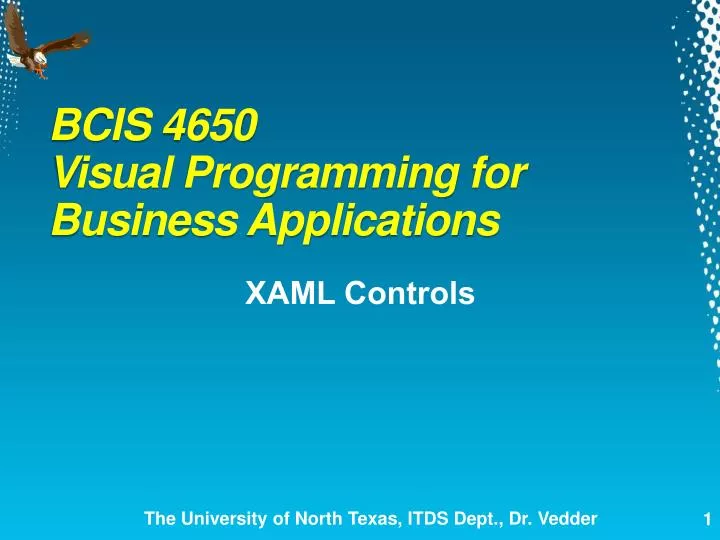 bcis 4650 visual programming for business applications