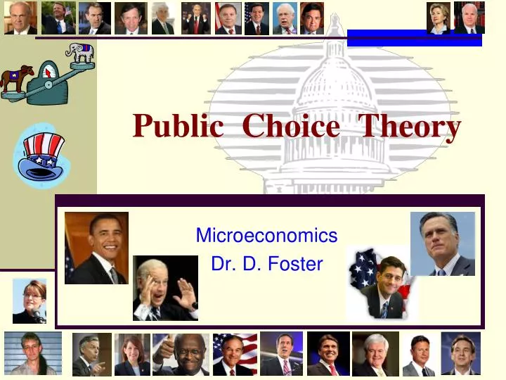 public choice theory