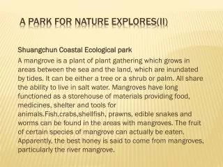 A park for nature explores(II)
