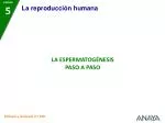 UNIDAD 5 - slide 1
