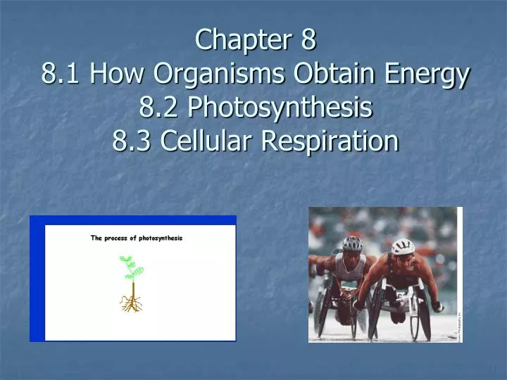 chapter 8 8 1 how organisms obtain energy 8 2 photosynthesis 8 3 cellular respiration